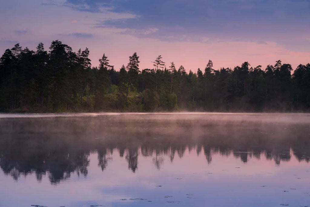 How to Fish a Multi-Jointed Swimbait for Trophy Bass